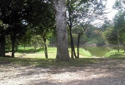 Colorado River Rv Campground 哥伦布 外观 照片