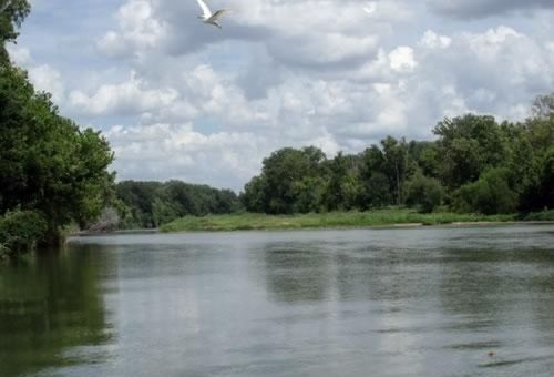 Colorado River Rv Campground 哥伦布 外观 照片